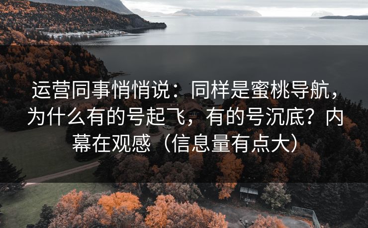 运营同事悄悄说：同样是蜜桃导航，为什么有的号起飞，有的号沉底？内幕在观感（信息量有点大）