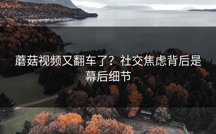 蘑菇视频又翻车了？社交焦虑背后是幕后细节
