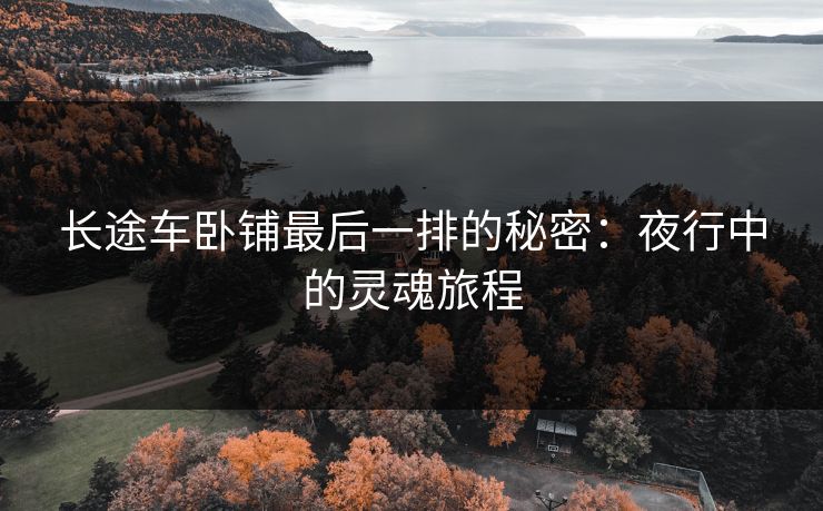 长途车卧铺最后一排的秘密:夜行中的灵魂旅程