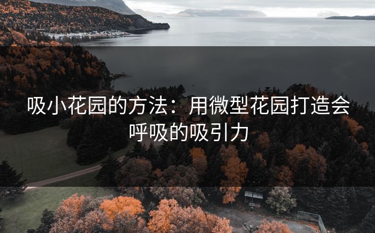 吸小花园的方法:用微型花园打造会呼吸的吸引力 吸小花园的方法:用微型花园打造会呼吸的吸引力