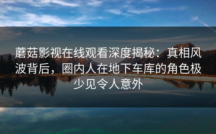 蘑菇影视在线观看深度揭秘：真相风波背后，圈内人在地下车库的角色极少见令人意外