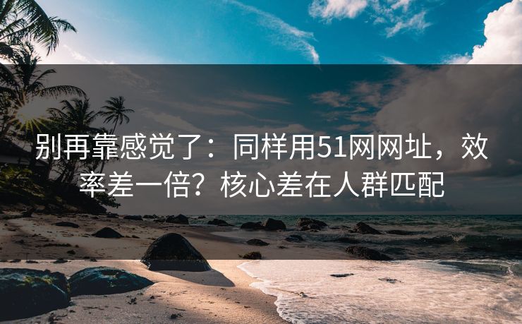 别再靠感觉了：同样用51网网址，效率差一倍？核心差在人群匹配